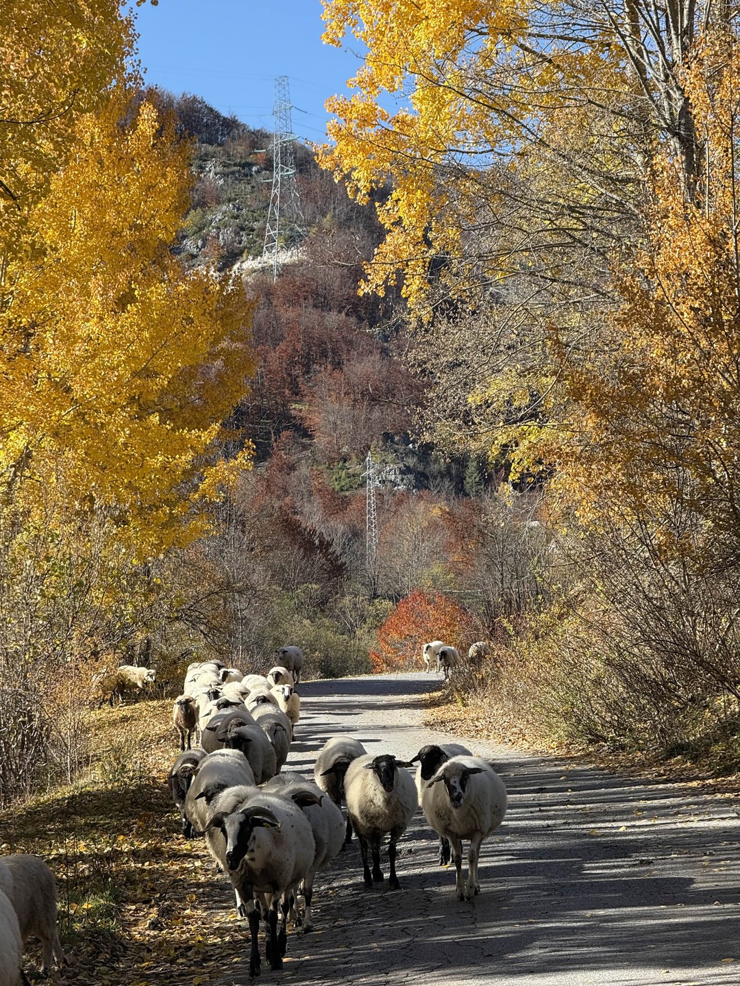На север Черногории (Ирина)