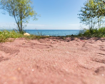 День в вашем распоряжении