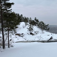 Фото отзыва 1: экскурсия "По Ладожскому озеру — на аэролодке!"