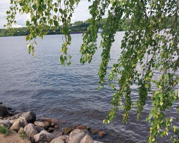 Вдохновение Плёса