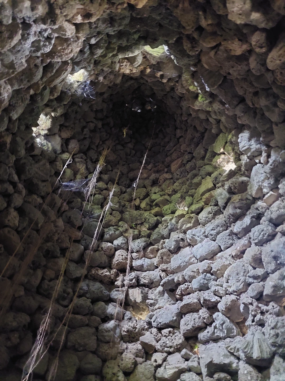 Прекрасная экскурсия, море положительных впечатлений. Вадим замечательный гид, рассказал много интересной и полезной информации про Вьетнам