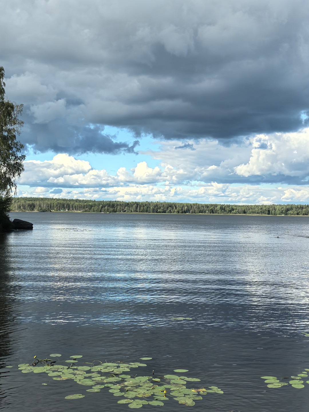 Однодневная экскурсия из Петербурга в Выборг на автобусе (Вера)