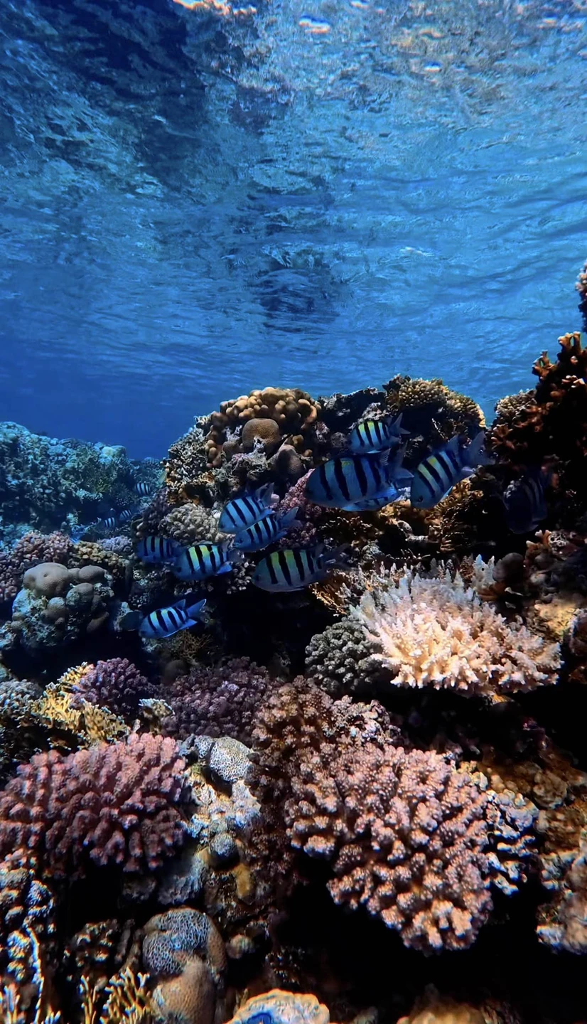 Отлично провела день в компании Анастасии, время экскурсии немного сдвинули в моих же интересов, из-за погоды,