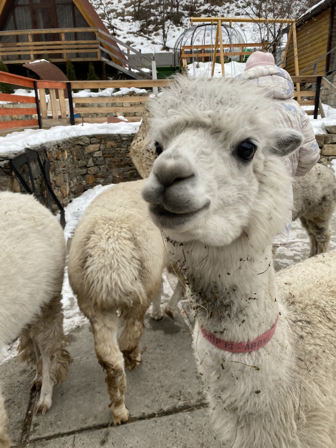 Прекрасно организованная экскурсия. Водитель-гид Алексей интересный рассказчик, много информации о истории края и ее многонациональных жителях.