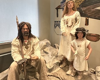 Свободный день