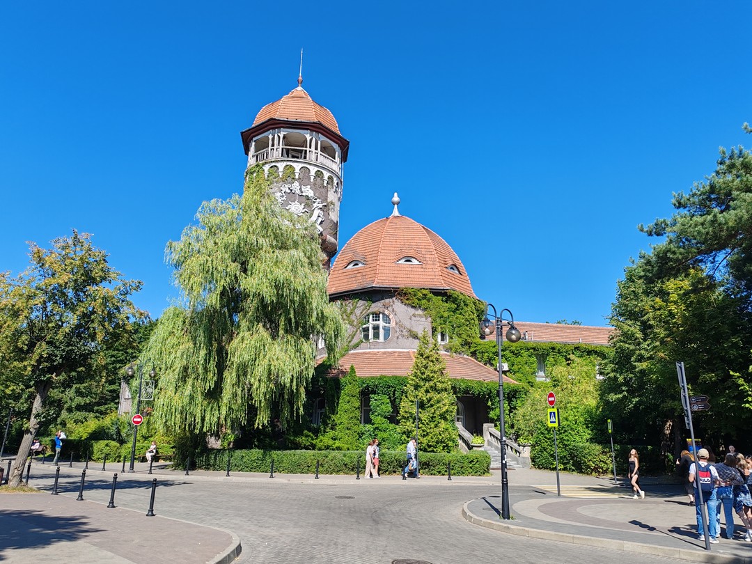 Была на данной экскурсии с 11-летним сыном. День пролетел незаметно, на одном дыхании. Информации много, изложена