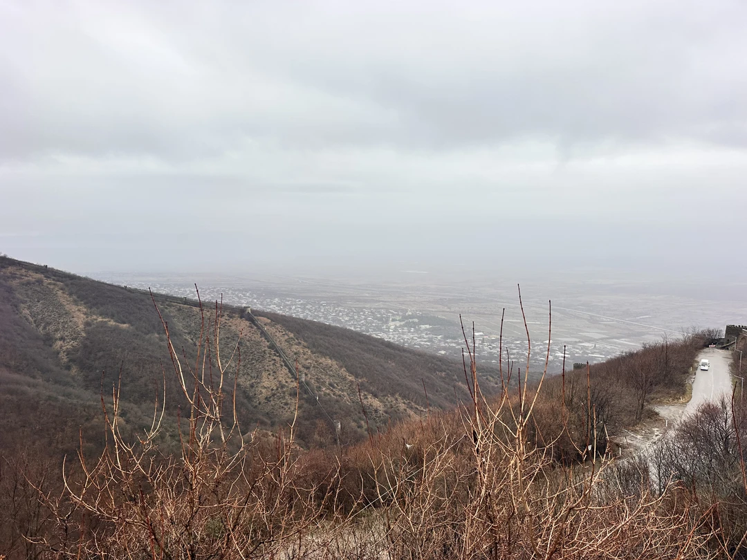 Экскурсия в Кахетию оставила самые тёплые впечатления! Прекрасные пейзажи, удивительная атмосфера грузинского гостеприимства. Всё было отлично