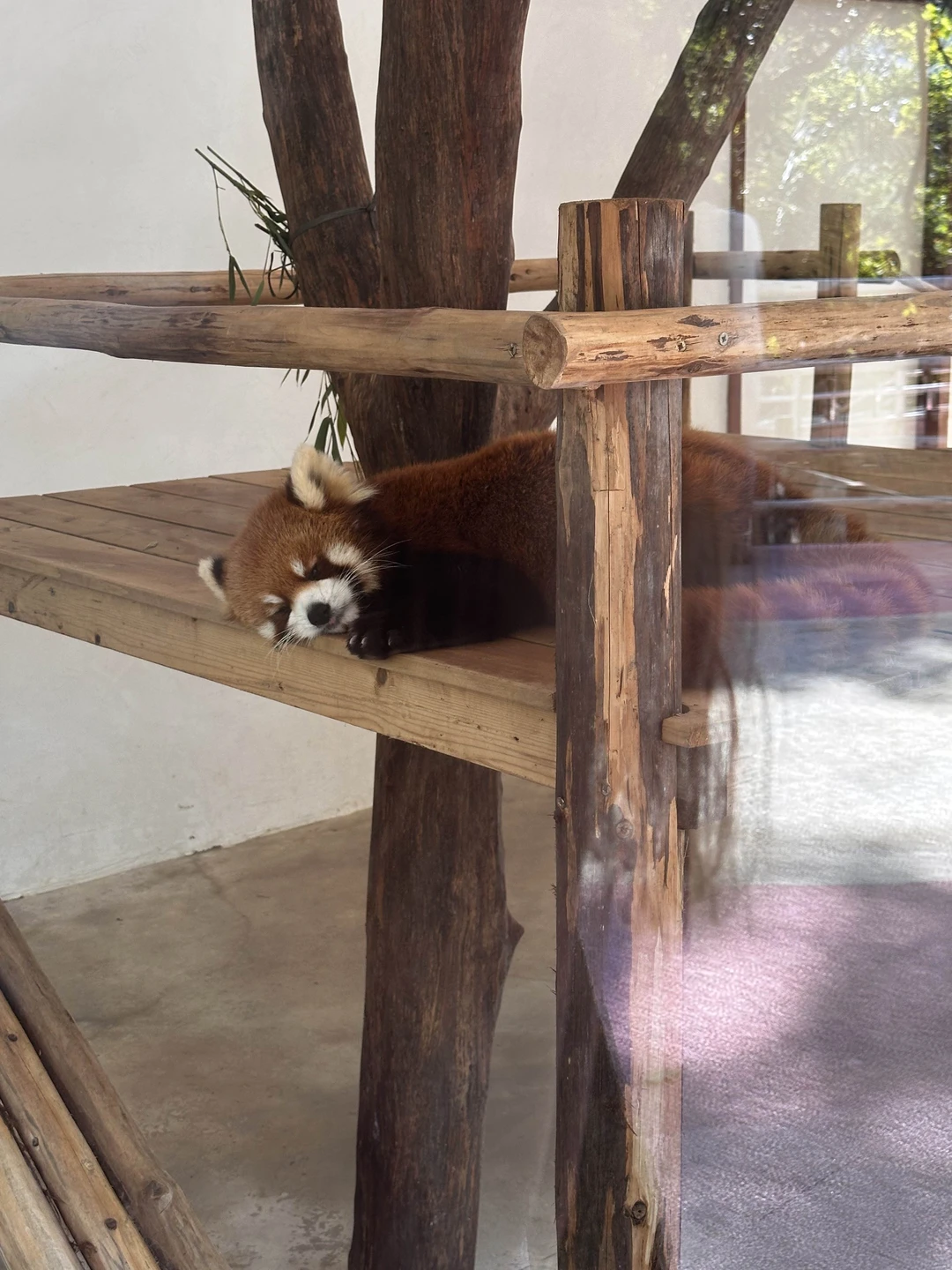 Недавно мы посетили парк Янода с нашим гидом Борисом, и это был просто незабываемый опыт! С