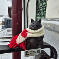 Фото отзыва 2: экскурсия "Из Ижевска в Сарапул!"