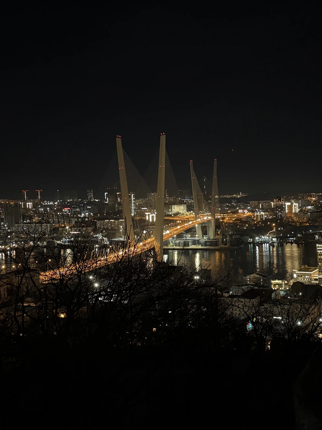 Ночные огни Владивостока (в группе) (Мария)