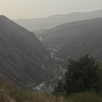 reviews img