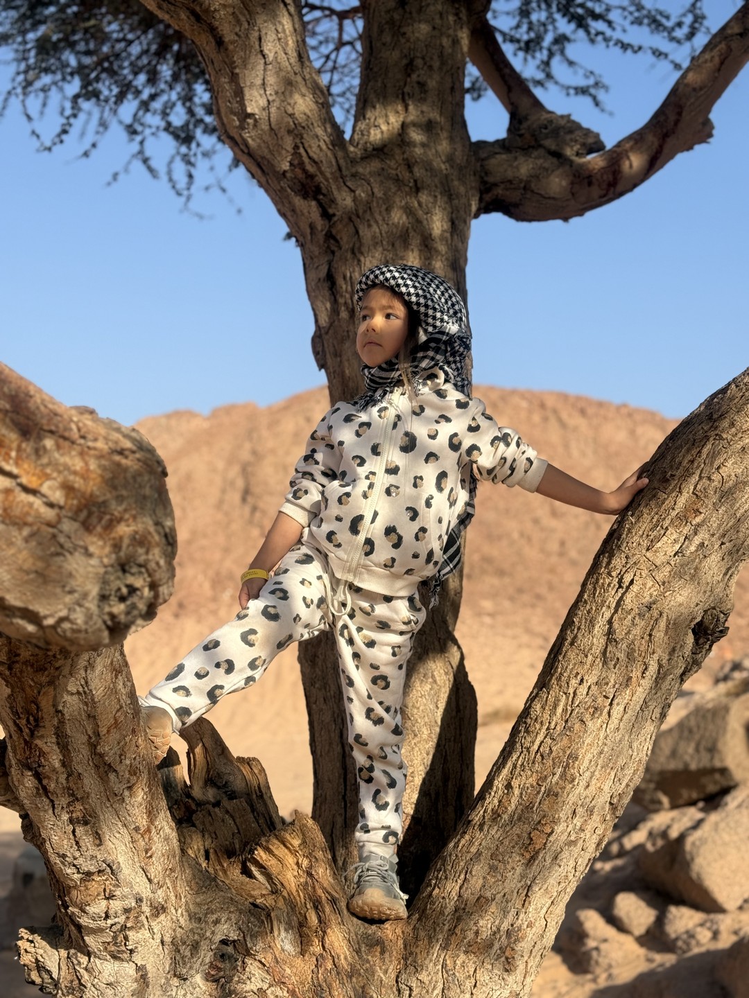 6 чудес Синая - авторская экскурсия (Ксения)