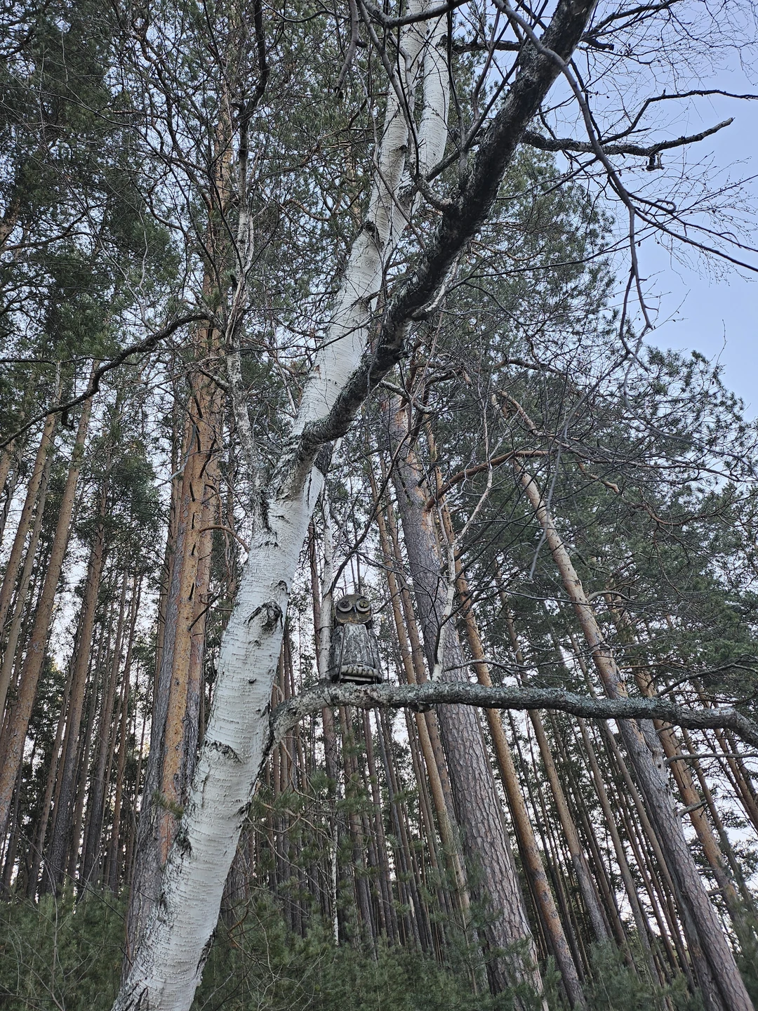 Побывали всей семьёй на замечательной экскурсии на природе и не только с Юрием. Нам прям очень