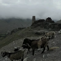 Фото отзыва 2: экскурсия "Лучшие места Северной Осетии (из Минеральных Вод)"