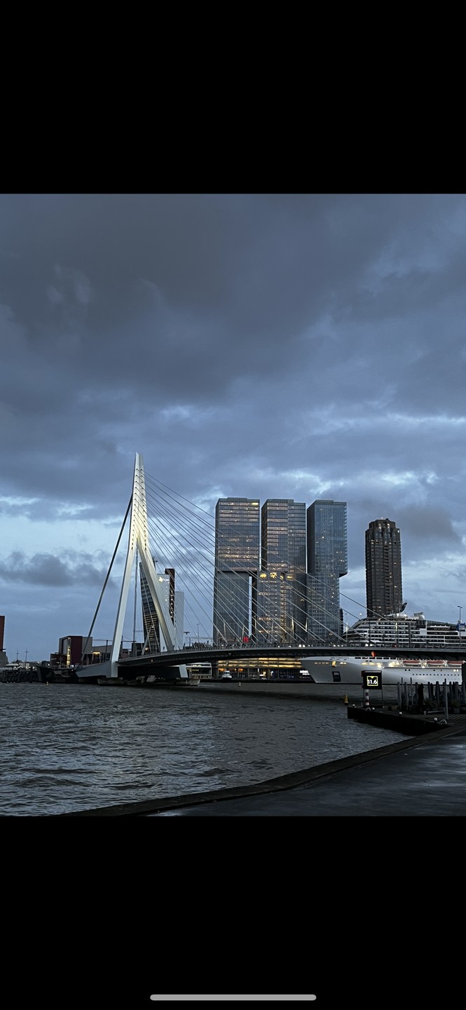 Роттердам по максимуму (Елена)