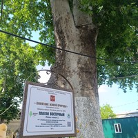 Фото отзыва 1: экскурсия "Дербент и экраноплан «Лунь» из Махачкалы"