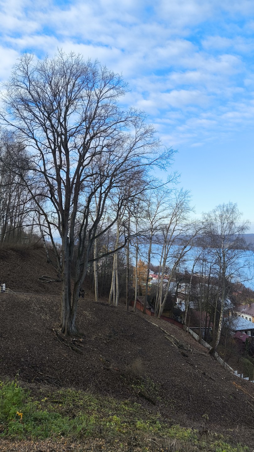 Город из-под кисти художника: групповая экскурсия в Плёс (Мария)