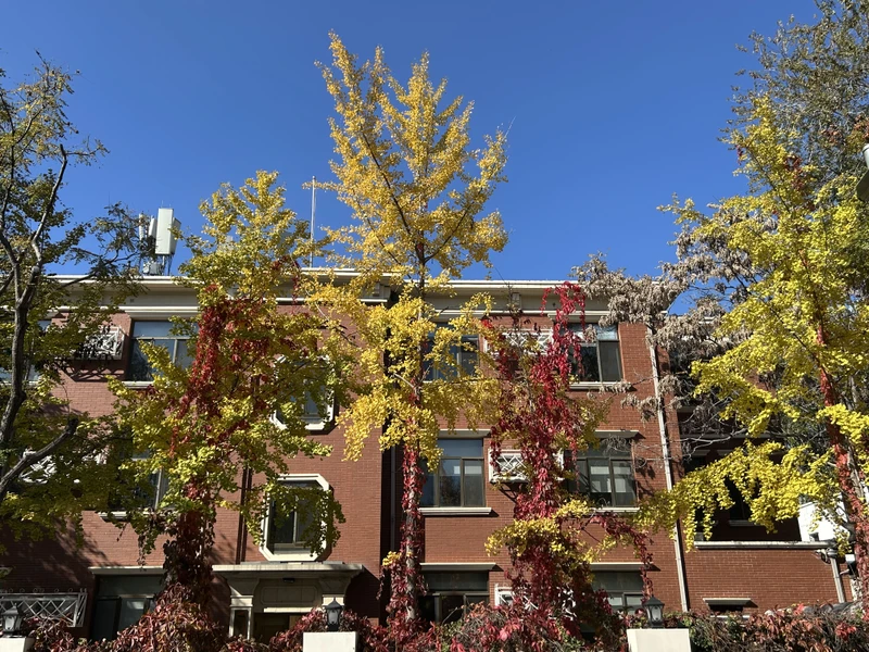 Прогулка по центру Тяньцзиня и экологичное рукоделие