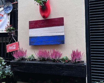 Переезд в Амстердам, дополнительные экскурсии