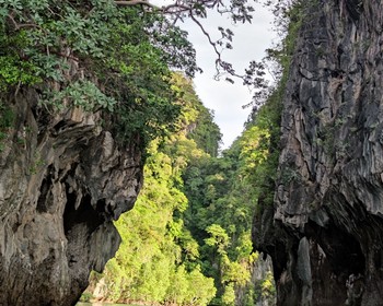 Острова, мангровые леса, снорклинг