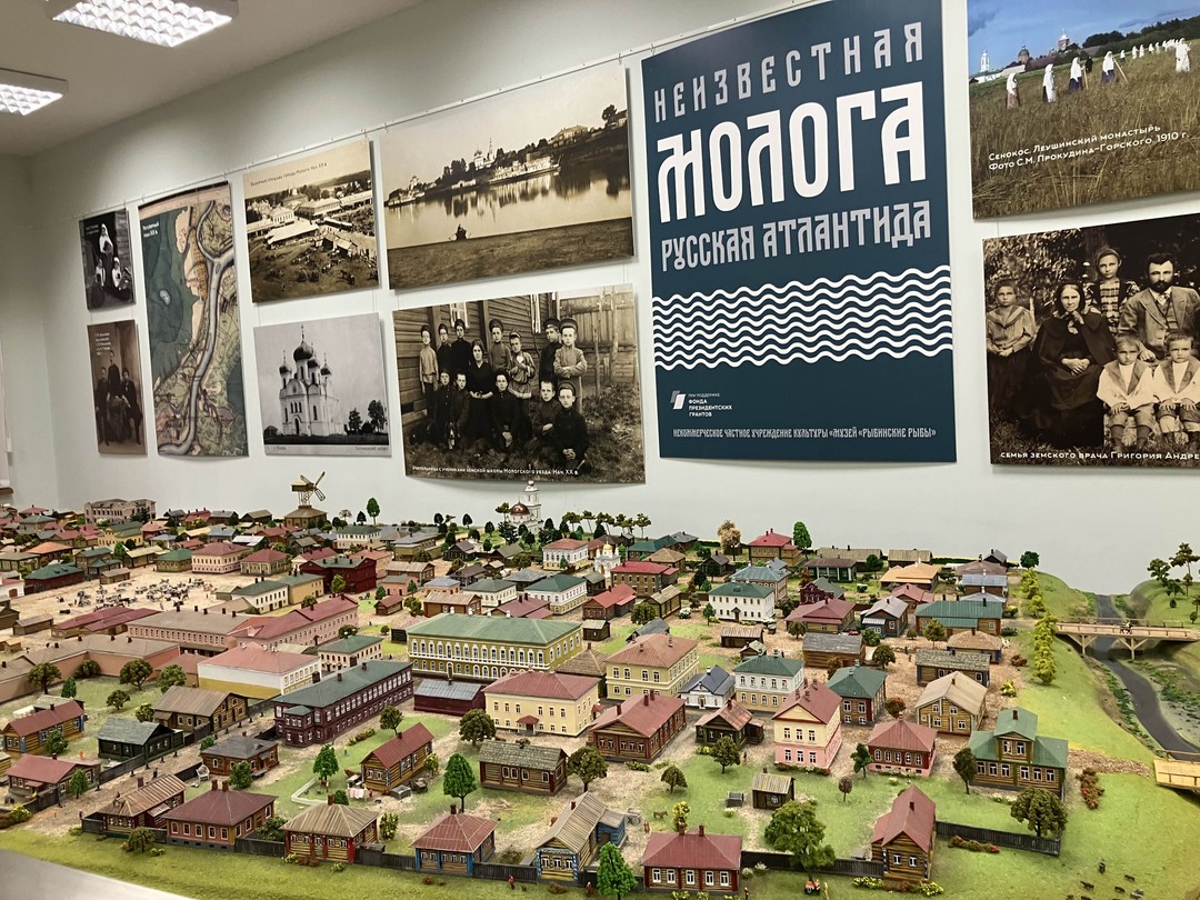 Благодарим Анатолия за чудесную спокойную экскурсию. Нам очень повезло с погодой. Почувствовали красоту и важность города