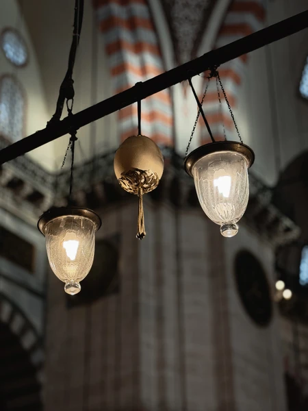 Экскурсию проводил сам Олег, очень приятный гид, к сожалению, не удалось попасть внутрь главных достопримечательностей Стамбула