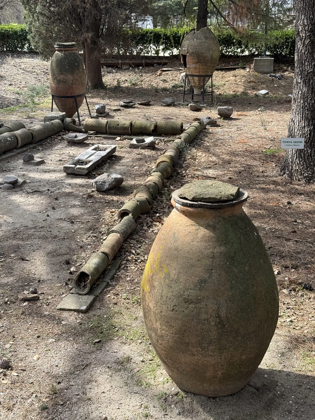 все шикарно организовано! Троя интересная) любителям древностей 100% понравится