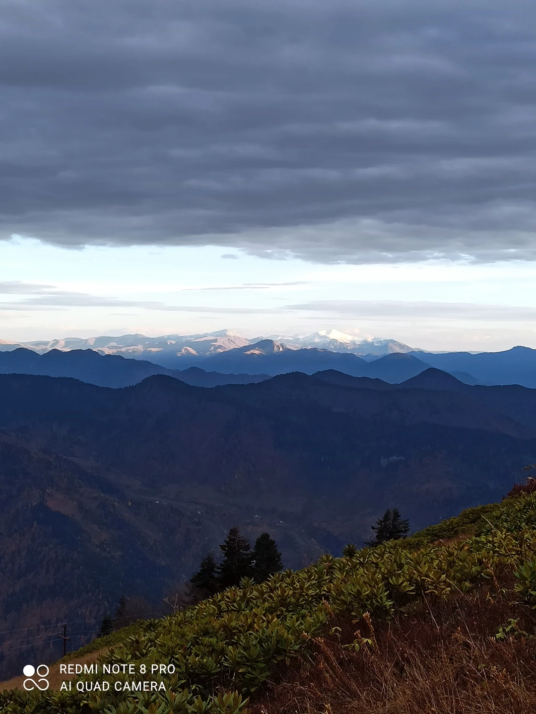 Нам экскурсия очень понравилась. Джаба, наш гид, делал все, чтобы нам было комфортно. Дорога хоть и