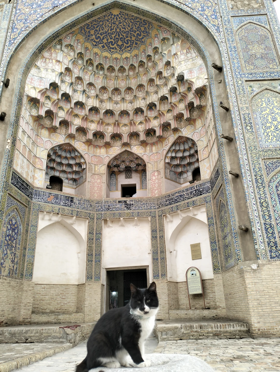 Выражаем огромную благодарность Акбару за заботу, информативность, пунктуальность и завлекательность в организаций нашей экскурсии! Наш замечательный