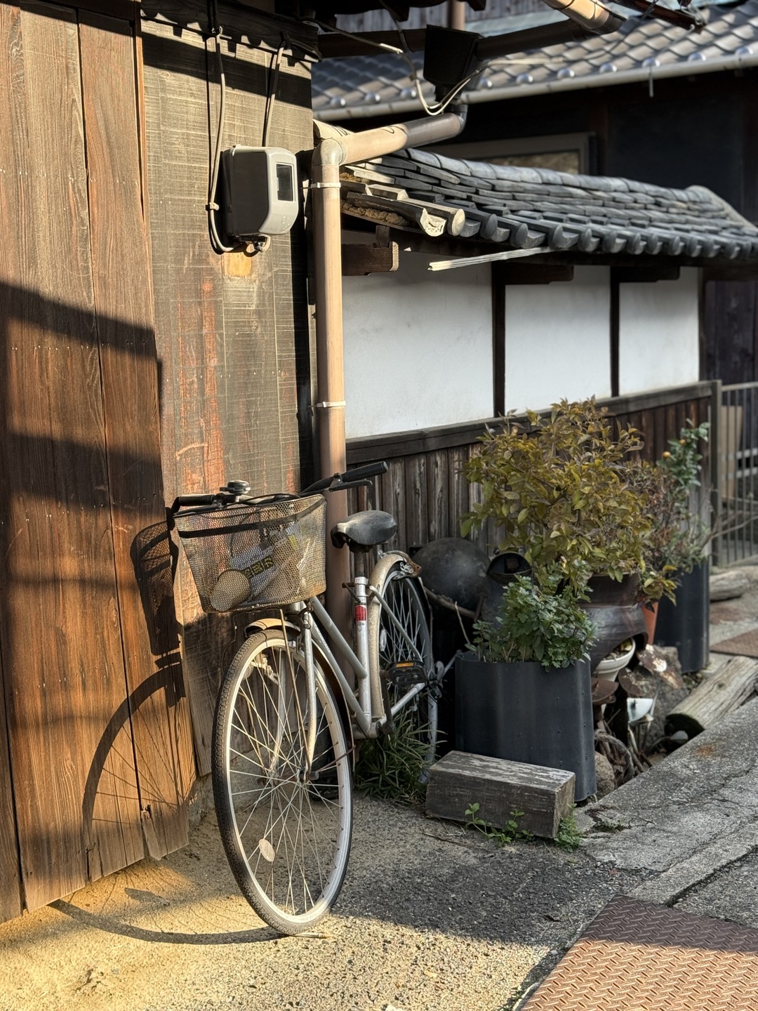 Эта поездка стала одним из самых ярких впечатлений от Японии. Благодаря Артуру, мы не просто увидели