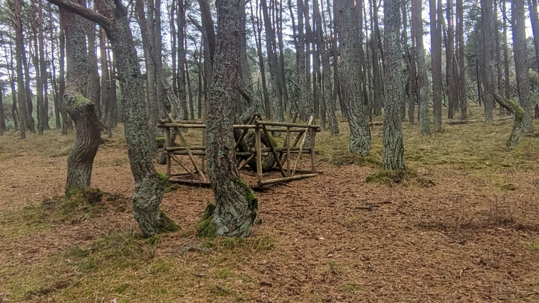 Очень понравилось