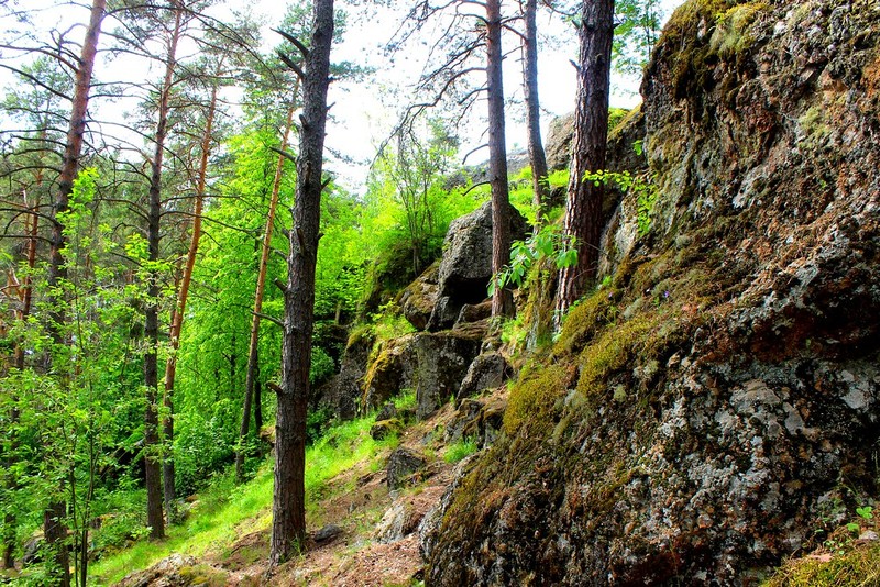 Фото экскурсии 6