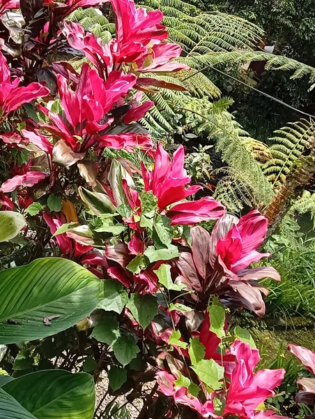 самые приятные и теплые впечатления от Бали на этой экскурсии. Гид Viru прекрасно говорил по русски