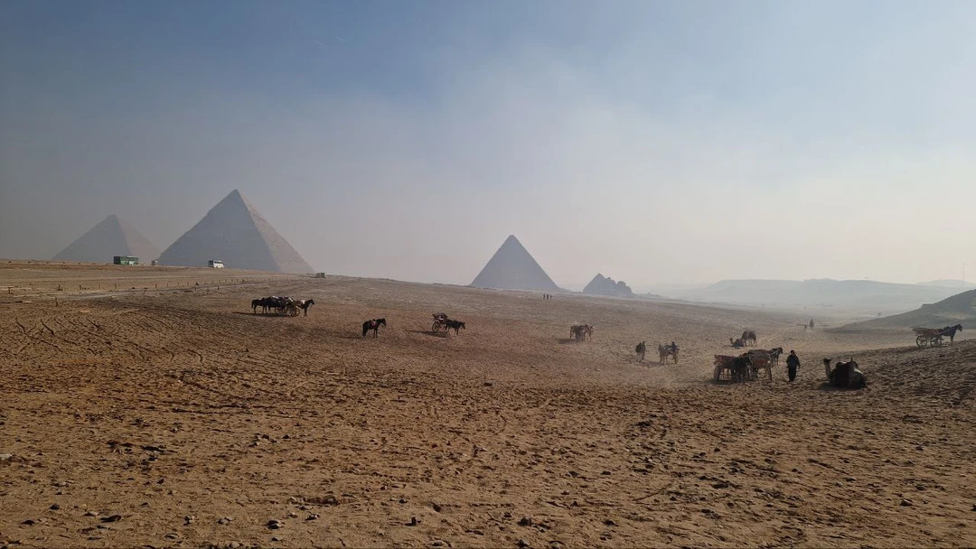 Каир и окрестности за 2 дня (Полина)