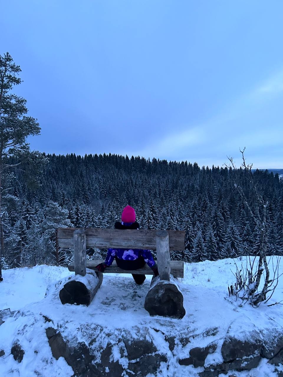 Отдыхали с 3 по 5 января 2025г. Нам понравилось прекрасная организация Александры (все было четко организовано,