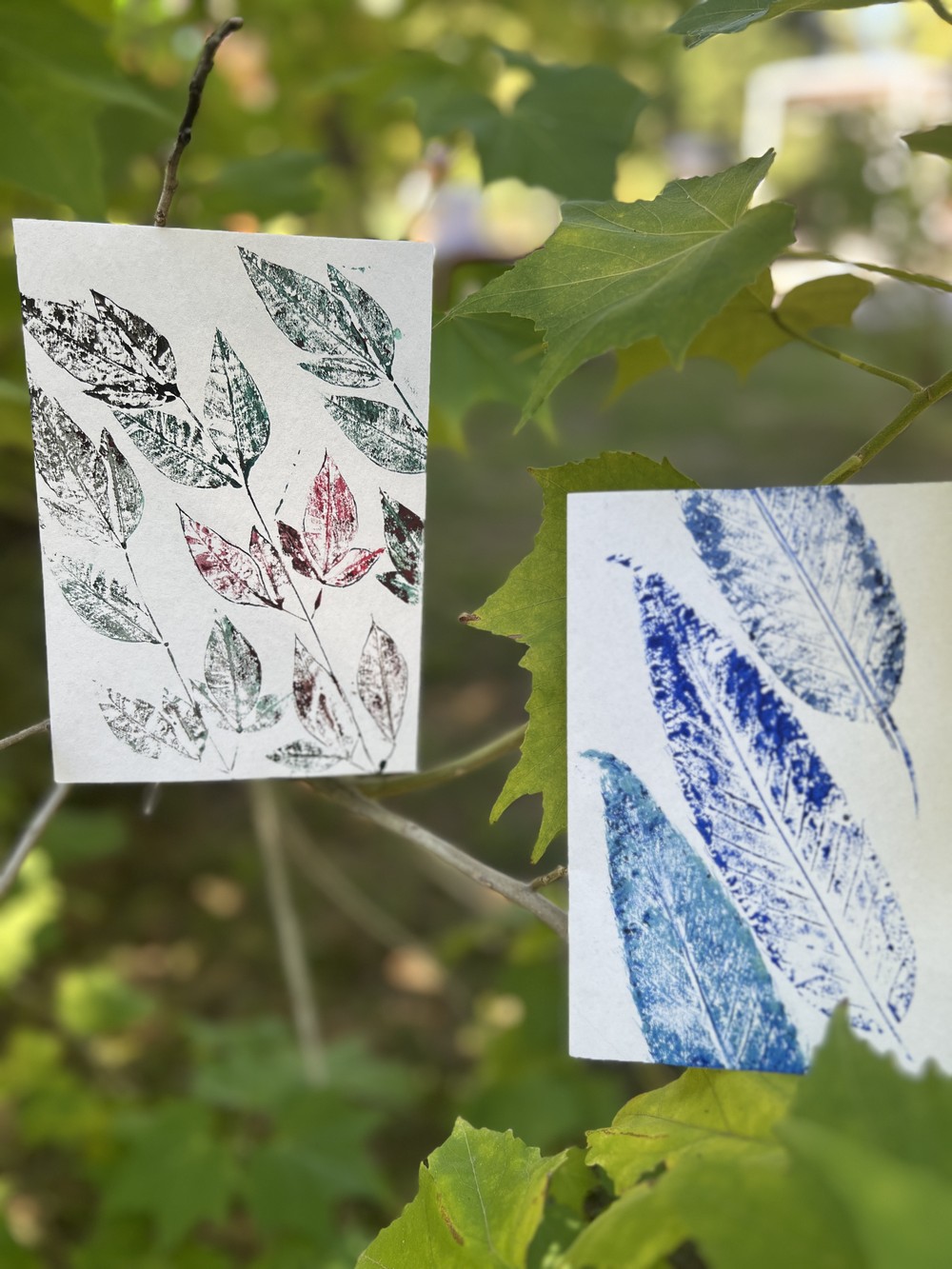 Мастер-класс по монопечати растений в Сочи (13/18)