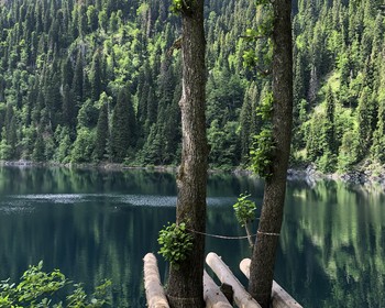 Большая Рица, водопад и дегустация
