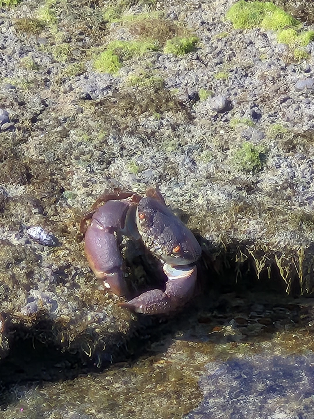 Сами Эмираты мы толком не поситили. Мы просто ехали в отдаленый отели и проезжали через все