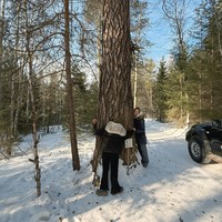 Фото отзыва 2: экскурсия "Джип-путешествие «Соколиный камень и Чертово городище»"