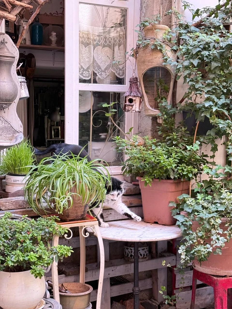 Большое спасибо Ирине за познавательную экскурсию по трабулям старого Лиона! Очень интересно, информативно и с любовью