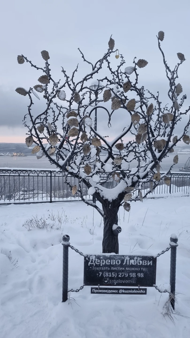 Благодарим Евгения за чудесное знакомство с Мурманском!