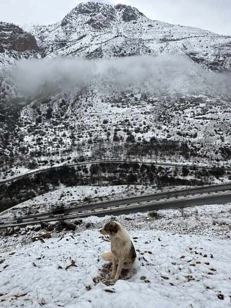 Арам, Тигран, большое спасибо за такую увлекательную экскурсию до Татевского монастыря 🙏