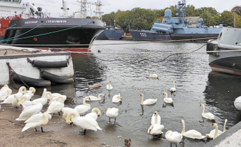 Фото 2: авторский тур «Калининград и всё побережье от Куршской косы до Балтийска (индивидуальный тур)»