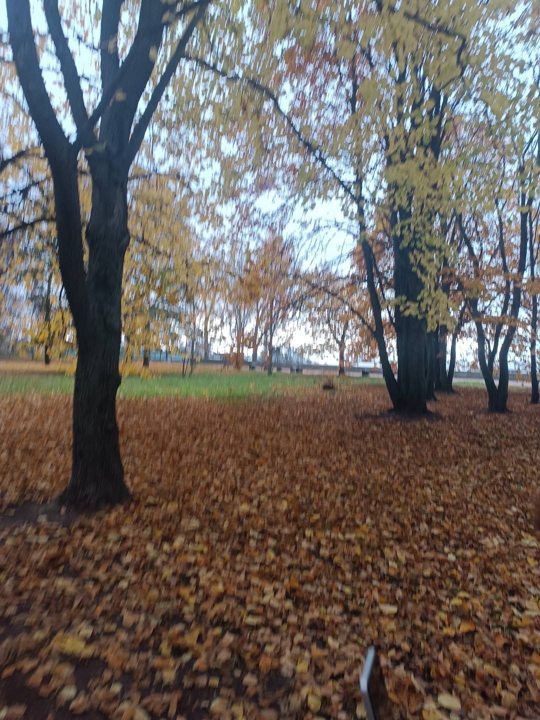 Автобусная экскурсия из Петербурга «Кронштадт - Петергоф» (Анна)