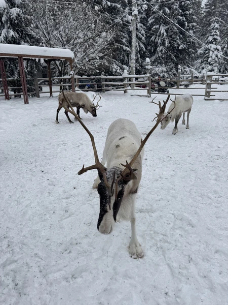 Познавательно, подробно, знающий и комфортный гид. Единственное, что могу предложить. это чуть четче обозначать время, для