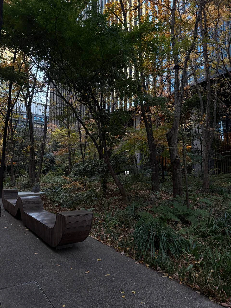 Настоятельно рекомендую данную экскурсию к посещению всем, кто впервые в Токио. Это просто палочка выручалочка для