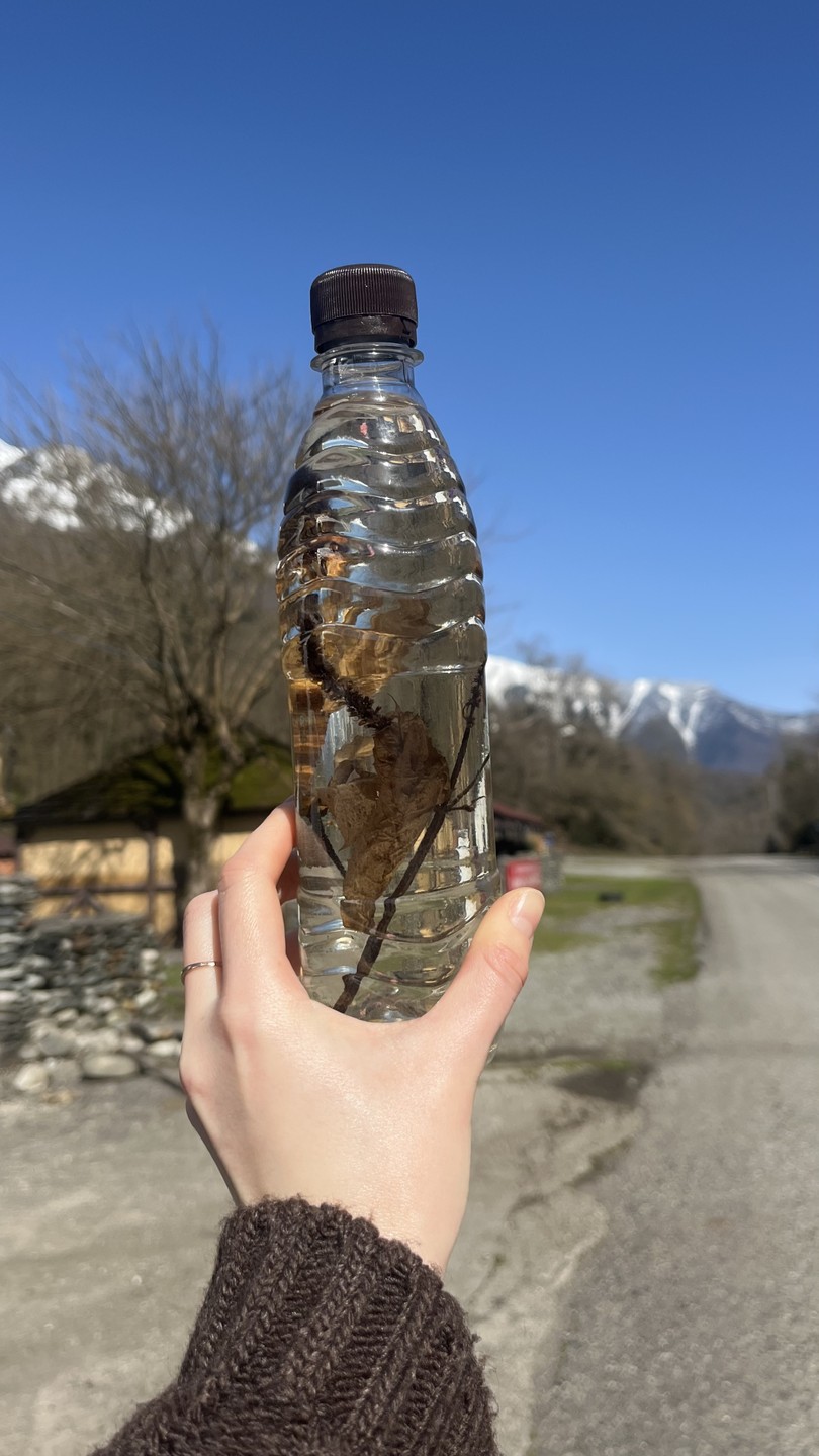 Отличная экскурсия!