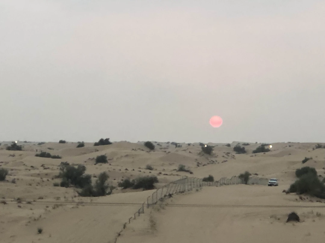 Сафари по дубайской пустыне (всё включено) (Sergey)