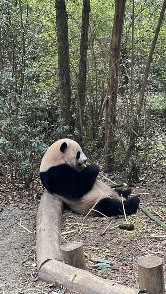 Ольга очень приятная собеседница. Поекрасно владеет информацией как исторической, так и современными фактами о жизни города