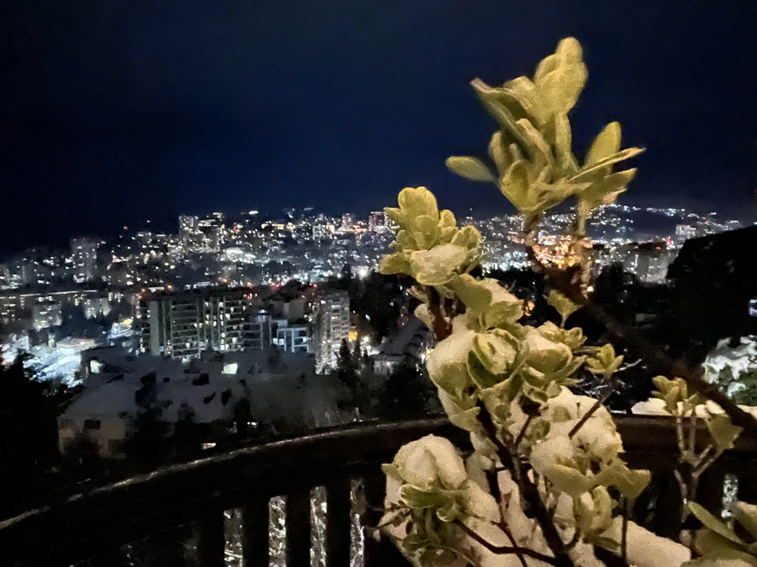 Вечерний Сочи (Марта)